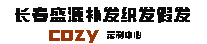 长春盛源织发补发假发定制中心 logo